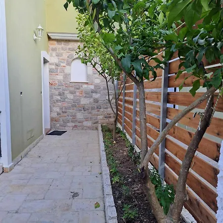 Green Oasis
