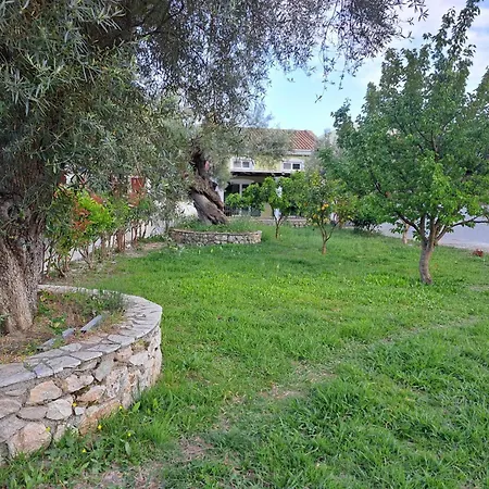 Green Oasis *